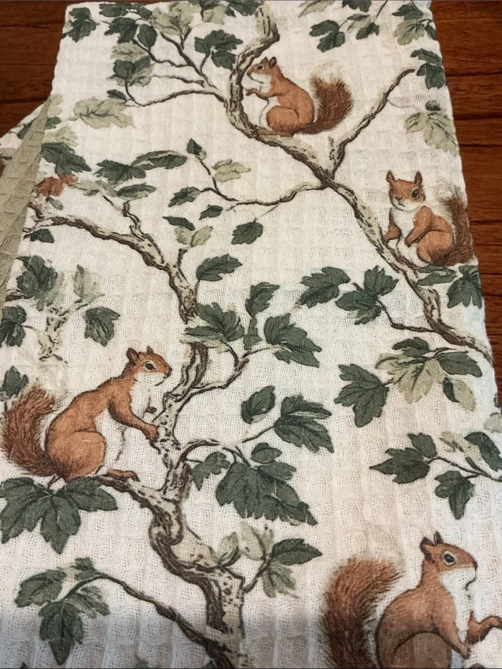 Fall Kitchen Towels - Set of 3
